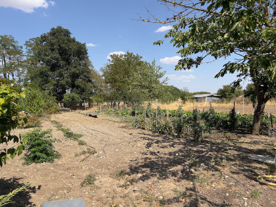 French property for sale in Sammarçolles, Vienne - €239,680 - photo 9