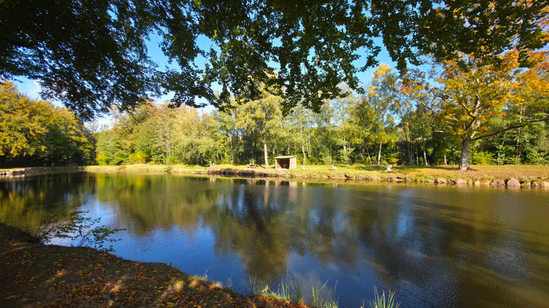 French property for sale in Tinchebray-Bocage, Orne - €204,750 - photo 0