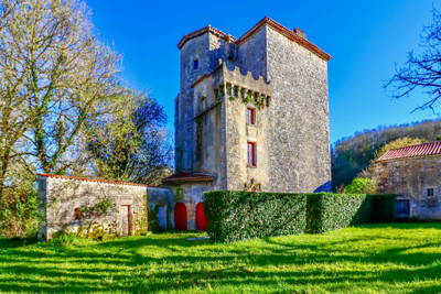 chateau for sale in Charente
