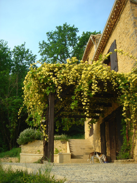French property for sale in Sainte-Foy-de-Belvès, Dordogne - €135,000 - photo 9