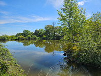 Lacs à vendre à Néris-les-Bains, Allier - 140 400 € - photo 2