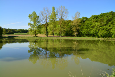 French property for sale in Bors (Canton de Tude-et-Lavalette), Charente - €619,000 - photo 3