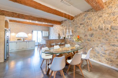 Exceptional Character Property with apartment and studio, Private Spa and Garden Near Mediterranean Beaches