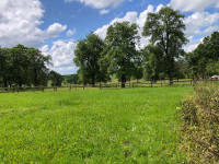 Maison à vendre à Juvigny Val d'Andaine, Orne - 74.800 € - photo 14