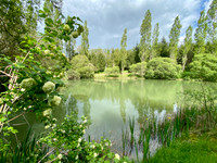 Terrain à Rochechouart, Haute-Vienne - photo 6