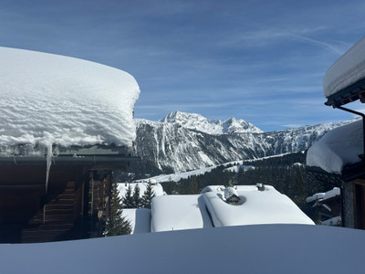 chalet for sale in Savoie