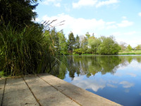 Lacs à vendre à Montaudin, Mayenne - 519 400 € - photo 10