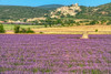 French property for sale in Simiane-la-Rotonde, Alpes-de-Haute-Provence - €345,000 - thumbnail 9