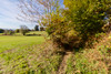 French property for sale in Sainte-Féréole, Corrèze - €113,400 - thumbnail 5