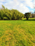 Propriété à vendre à Ciron, Indre - 17 600 € - photo n°8