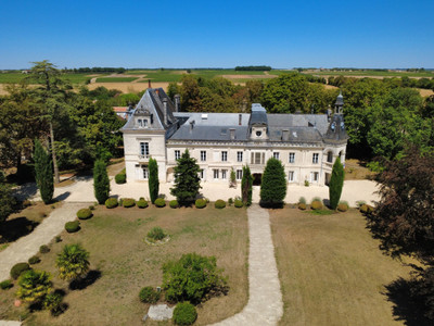 chateau for sale in Charente