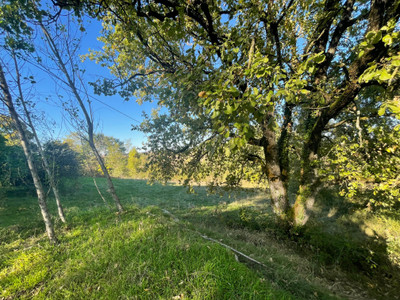 French property for sale in Le Fousseret, Haute-Garonne - €296,800 - photo 5