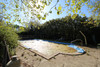 French property for sale in Cressé, Charente-Maritime - €349,800 - thumbnail 14
