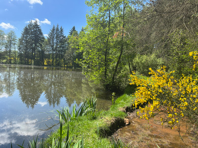 French property for sale in Saint-Priest-les-Fougères, Dordogne - €145,000 - photo 10