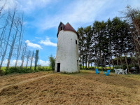 Propriété à vendre à Néré, Charente-Maritime - 79 000 € - photo n°10