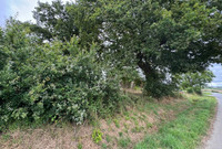 Terrain à vendre à Carentoir, Morbihan - 32.600 € - photo 5