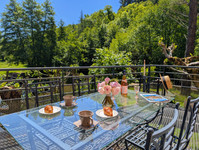 Propriété à vendre à Saint-Sernin-sur-Rance, Aveyron - 547 000 € - photo n°11