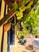 French property for sale in Sabazan, Gers - €345,000 - thumbnail 9