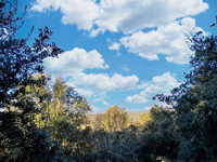 Maison à Fox-Amphoux, Var - photo 9