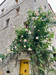 French property for sale in Flayosc, Var - €260,000 - thumbnail 9