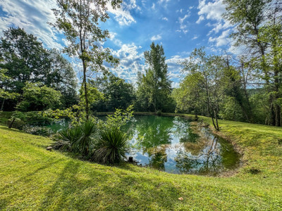 French property for sale in Montaigu-de-Quercy, Tarn-et-Garonne - €495,000 - photo 10