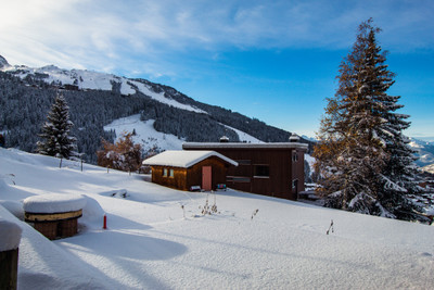Chalet in great location in Courchevel near shops and lifts with large sunny garden & stunning panoramic views