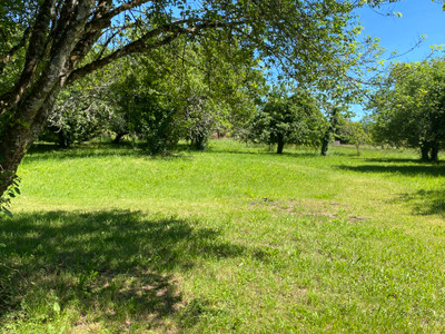 French property for sale in La Chapelle-Aubareil, Dordogne - €264,000 - photo 8