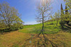 French property for sale in Salles-sur-l'Hers, Aude - €429,000 - thumbnail 9