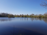 Lacs à vendre à Saint-Germain-de-Longue-Chaume, Deux-Sèvres - 370 000 € - photo 2