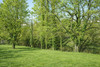 French property for sale in Tonneins, Lot-et-Garonne - €199,900 - thumbnail 9