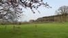 French property for sale in Vimarcé, Mayenne - €315,650 - thumbnail 9