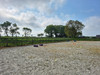 French property for sale in Kerien, Côtes-d'Armor - €298,000 - thumbnail 14