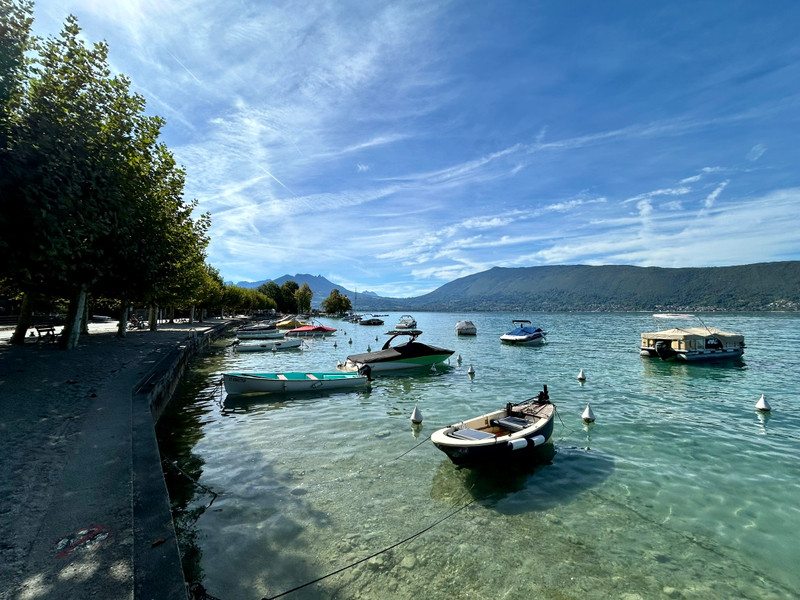 French property for sale in Veyrier-du-Lac, Haute-Savoie - €922,480 - photo 4