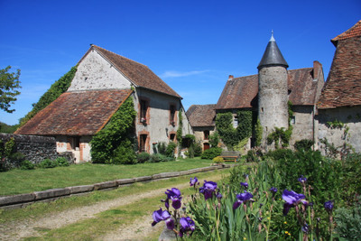 Chateau à vendre à Brigueil-le-Chantre, Vienne, Poitou-Charentes, avec Leggett Immobilier