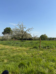 Propriété à vendre à Tinchebray-Bocage, Orne - 44 600 € - photo n°6