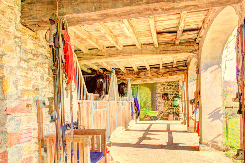Ski property for sale in Eaux-Bonnes - €875,000 - photo 9