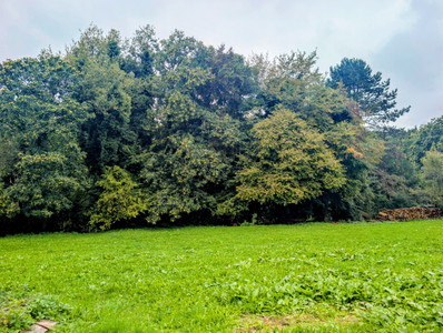 French property for sale in Champagnac-la-Rivière, Haute-Vienne - €93,500 - photo 3