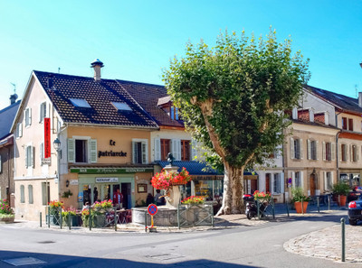 French property for sale in Ferney-Voltaire, Ain - €605,000 - photo 3