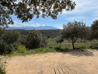 Maison à vendre à Montalba-le-Château, Pyrénées-Orientales - 360.000 € - photo 15