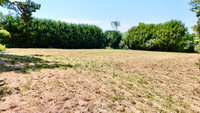 Propriété à vendre à Plestin-les-Grèves, Côtes-d'Armor - 472 500 € - photo n°9