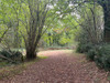 French property for sale in Champniers-et-Reilhac, Dordogne - €372,000 - thumbnail 14