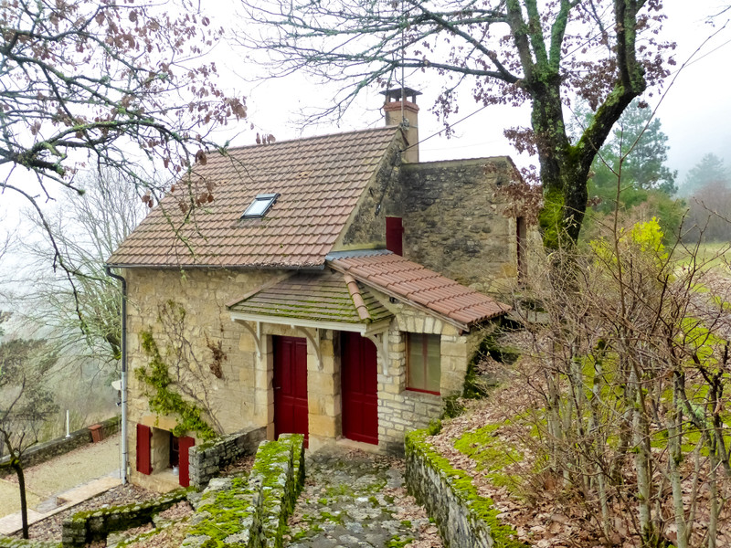 French property for sale in Saint-Vincent-de-Cosse, Dordogne - €230,000 - photo 11