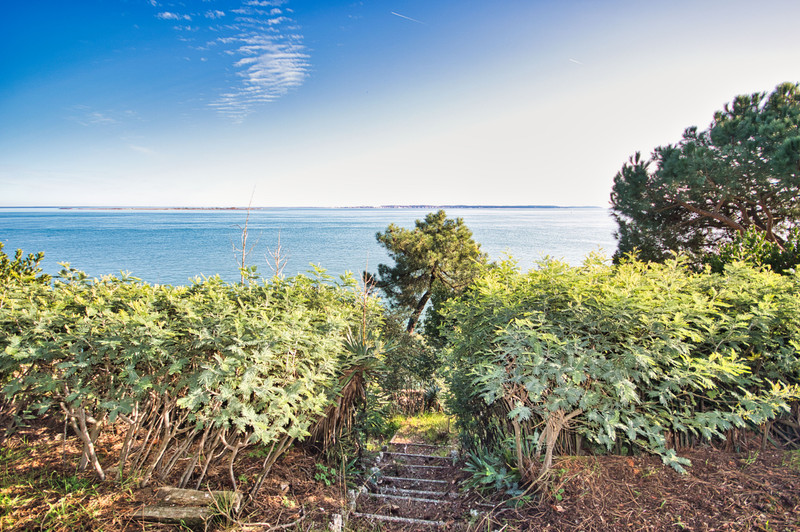 French property for sale in Lège-Cap-Ferret, Gironde - &#8364;6,300,000 - photo 5