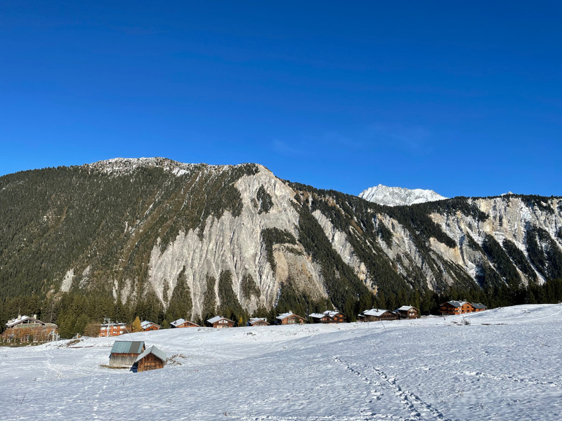 Ski property for sale in Courchevel 1650 - €6,200,000 - photo 3