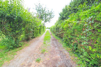 Terrain à vendre à Saint-Jean-d'Angély, Charente-Maritime - 77.000 € - photo 2