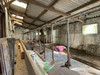 French property for sale in Laurenan, Côtes-d'Armor - €66,666 - thumbnail 13