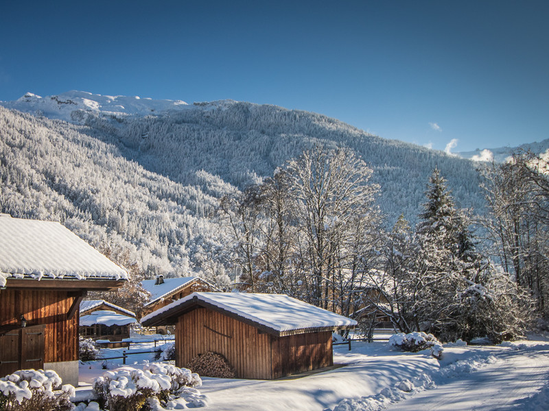 Ski property for sale in Samoens - €268,000 - photo 5