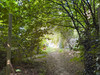 French property for sale in Pré-en-Pail-Saint-Samson, Mayenne - €199,999 - thumbnail 14