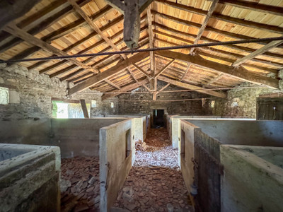 French property for sale in Le Busseau, Deux-Sèvres - €26,600 - photo 4