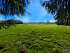 French property for sale in Saint-Yrieix-la-Perche, Haute-Vienne - €399,000 - thumbnail 9